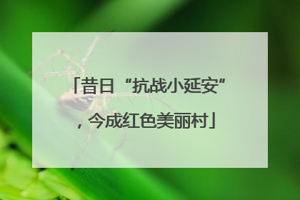昔日“抗战小延安”，今成红色美丽村