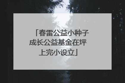 春雷公益小种子成长公益基金在坪上完小设立