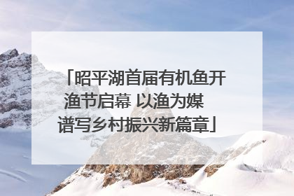 昭平湖首届有机鱼开渔节启幕 以渔为媒 谱写乡村振兴新篇章