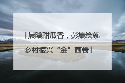 晨曦甜瓜香，彭集绘就乡村振兴“金”画卷