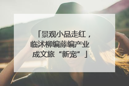 景观小品走红，临沭柳编藤编产业成文旅“新宠”