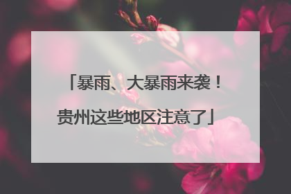 暴雨、大暴雨来袭！贵州这些地区注意了