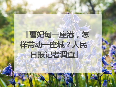 曹妃甸一座港，怎样带动一座城？人民日报记者调查