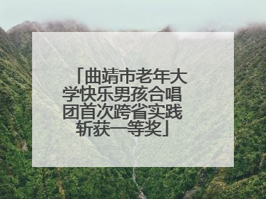 曲靖市老年大学快乐男孩合唱团首次跨省实践斩获一等奖