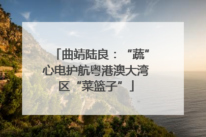 曲靖陆良：“蔬”心电护航粤港澳大湾区“菜篮子”