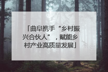 曲阜携手“乡村振兴合伙人”，赋能乡村产业高质量发展