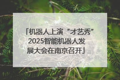 机器人上演“才艺秀” 2025智能机器人发展大会在南京召开