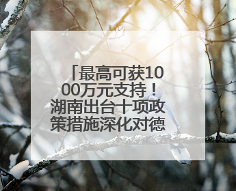 最高可获1000万元支持！湖南出台十项政策措施深化对德合作