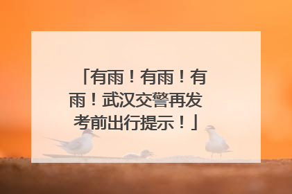有雨！有雨！有雨！武汉交警再发考前出行提示！