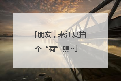 朋友，来江夏拍个“荷”照~