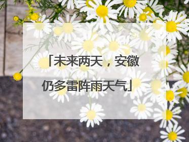未来两天，安徽仍多雷阵雨天气