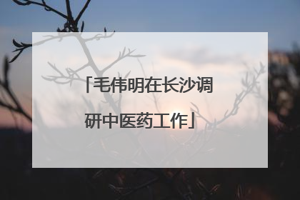 毛伟明在长沙调研中医药工作