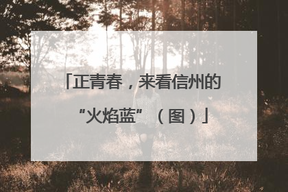 正青春，来看信州的“火焰蓝”（图）