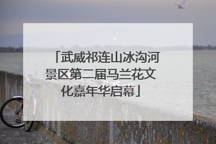 武威祁连山冰沟河景区第二届马兰花文化嘉年华启幕