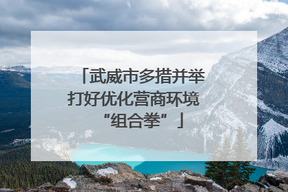 武威市多措并举打好优化营商环境“组合拳”