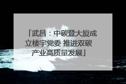 武昌：中碳登大厦成立楼宇党委 推进双碳产业高质量发展