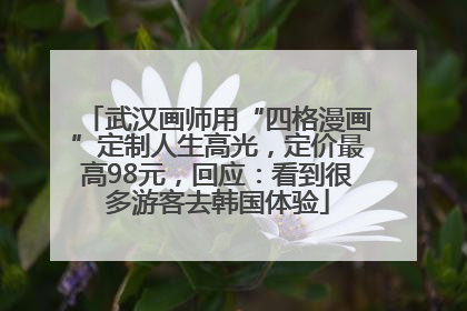 武汉画师用“四格漫画”定制人生高光，定价最高98元，回应：看到很多游客去韩国体验