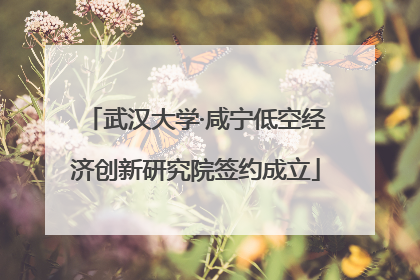 武汉大学·咸宁低空经济创新研究院签约成立