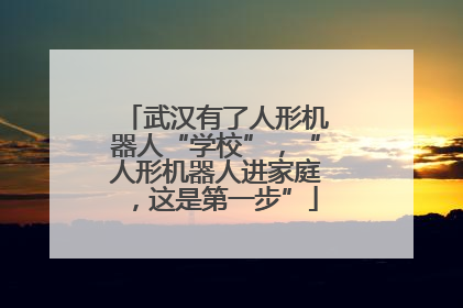 武汉有了人形机器人“学校”，“人形机器人进家庭，这是第一步”