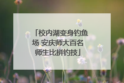 校内湖变身钓鱼场 安庆师大百名师生比拼钓技
