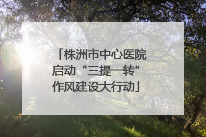 株洲市中心医院启动“三提一转”作风建设大行动