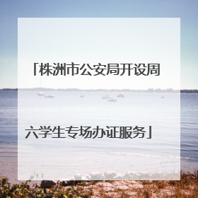 株洲市公安局开设周六学生专场办证服务