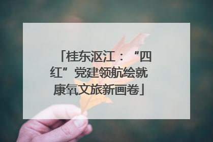 桂东沤江：“四红”党建领航绘就康氧文旅新画卷