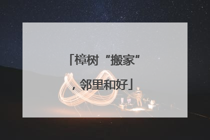 樟树“搬家”，邻里和好