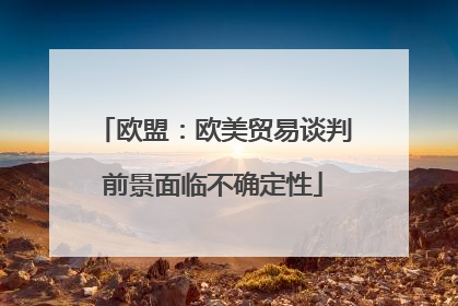 欧盟：欧美贸易谈判前景面临不确定性
