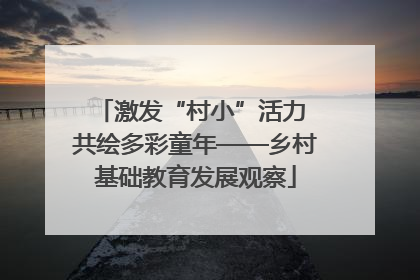 激发“村小”活力 共绘多彩童年——乡村基础教育发展观察