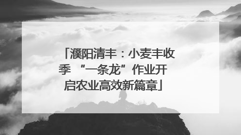 濮阳清丰：小麦丰收季 “一条龙”作业开启农业高效新篇章