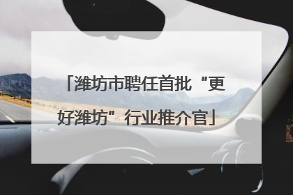潍坊市聘任首批“更好潍坊”行业推介官