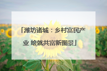 潍坊诸城：乡村富民产业 绘就共富新图景