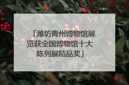 潍坊青州博物馆展览获全国博物馆十大陈列展精品奖