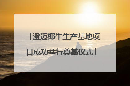澄迈椰牛生产基地项目成功举行奠基仪式