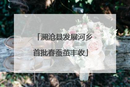 澜沧县发展河乡首批春蚕茧丰收