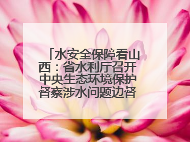 水安全保障看山西：省水利厅召开中央生态环境保护督察涉水问题边督边改工作推进会