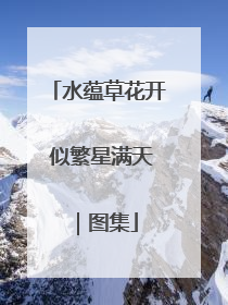 水蕴草花开 似繁星满天｜图集