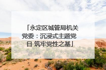 永定区城管局机关党委：沉浸式主题党日 筑牢党性之基