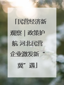 民营经济新观察｜政策护航 河北民营企业激发新“冀”遇