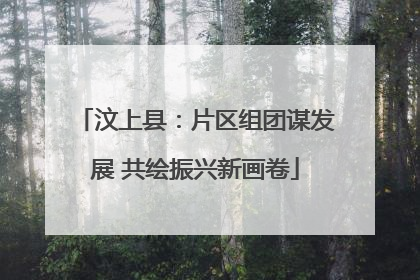 汶上县：片区组团谋发展 共绘振兴新画卷