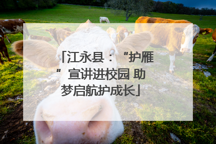 江永县：“护雁”宣讲进校园 助梦启航护成长