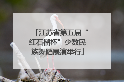 江苏省第五届“红石榴杯”少数民族舞蹈展演举行