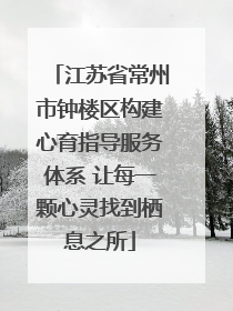 江苏省常州市钟楼区构建心育指导服务体系 让每一颗心灵找到栖息之所
