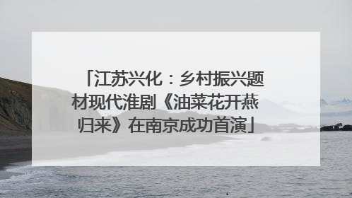 江苏兴化：乡村振兴题材现代淮剧《油菜花开燕归来》在南京成功首演
