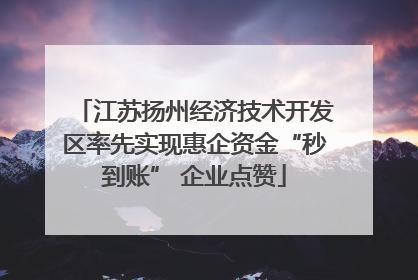 江苏扬州经济技术开发区率先实现惠企资金“秒到账” 企业点赞