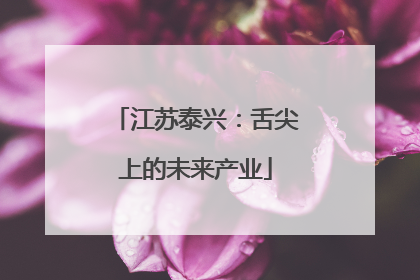 江苏泰兴：舌尖上的未来产业