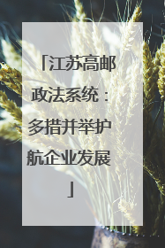 江苏高邮政法系统：多措并举护航企业发展