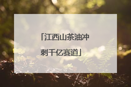 江西山茶油冲刺千亿赛道