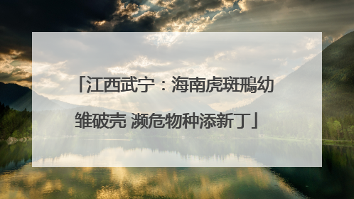 江西武宁：海南虎斑鳽幼雏破壳 濒危物种添新丁
